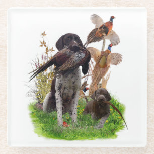 German Shorthaired Pointer  Glass Coaster
