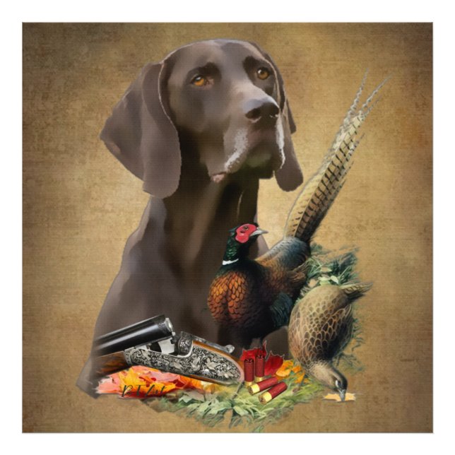 German Shorthaired Pointer GSP  Photo Print (Front)