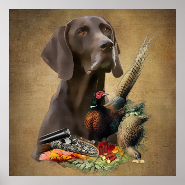German Shorthaired Pointer GSP   Poster (Front)