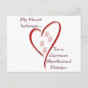 German Shorthaired Pointer Heart Belongs Postcard