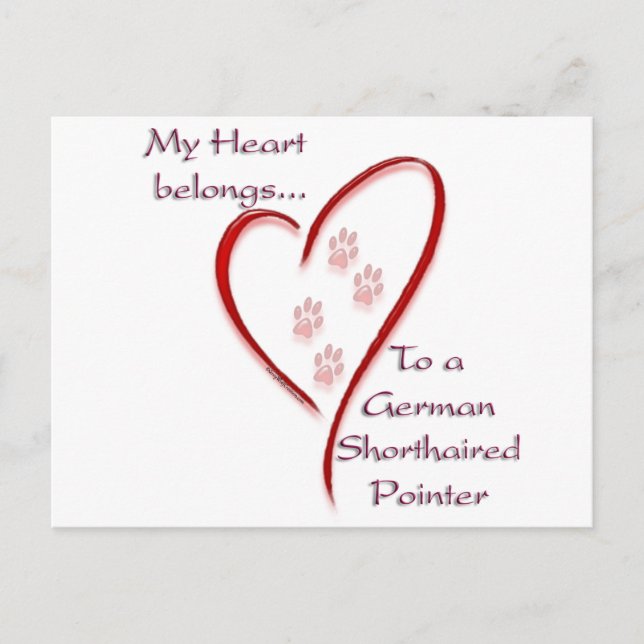 German Shorthaired Pointer Heart Belongs Postcard (Front)