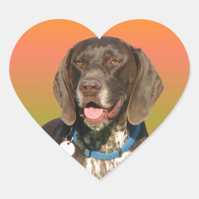 German Shorthaired Pointer Heart Sticker (Front)