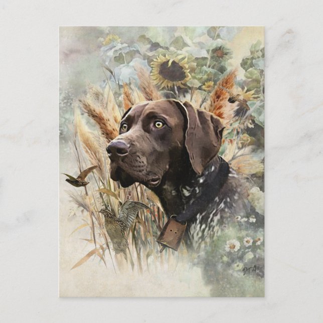 German Shorthaired Pointer Holiday Postcard (Front)