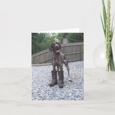 German Shorthaired Pointer Puppy Dog Hipster Photo Card Zazzle Co Uk