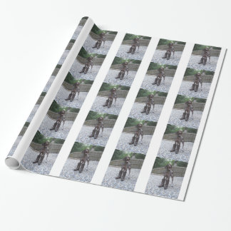 German Shorthaired Pointer in Boots Wrapping Paper
