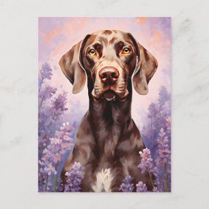 German Shorthaired Pointer in Lavender field Postcard
