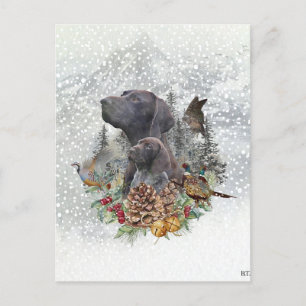 German Shorthaired Pointer in winter    Postcard