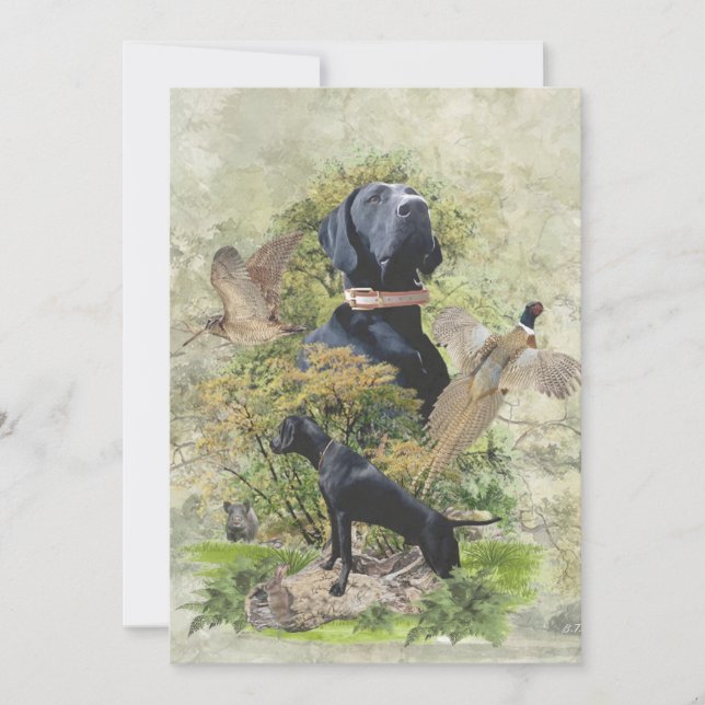 German Shorthaired Pointer,kurzhaar  Invitation (Front)