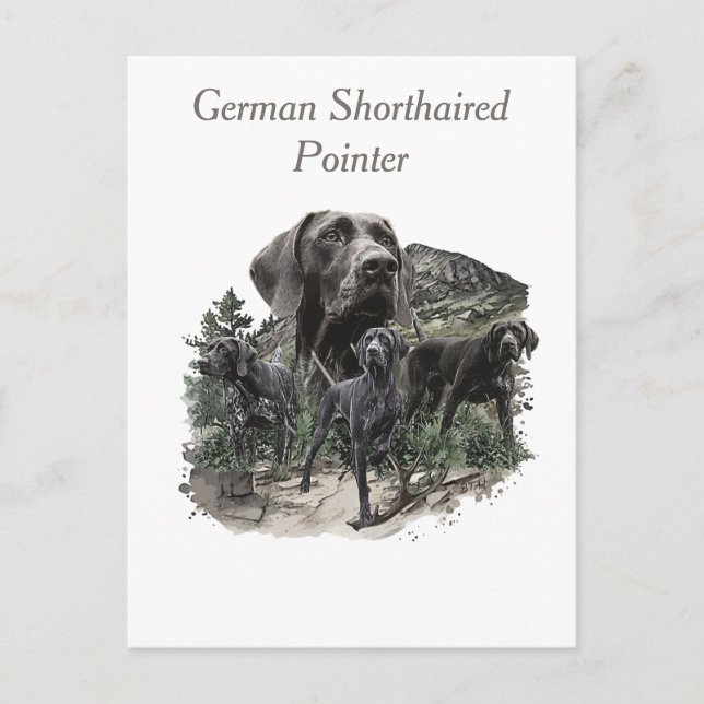 German Shorthaired Pointer Lovers Postcard (Front)