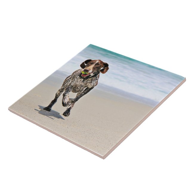 German Shorthaired Pointer - Luke - Riley Tile (Side)