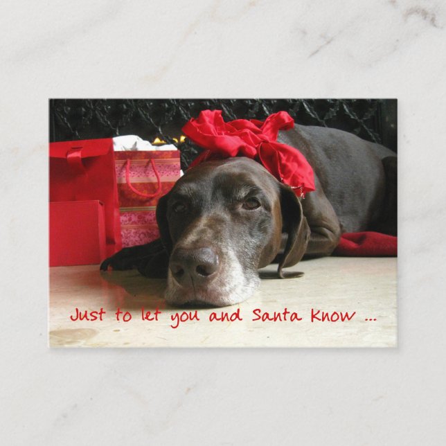 German Shorthaired Pointer New Address Enclosure Card (Front)
