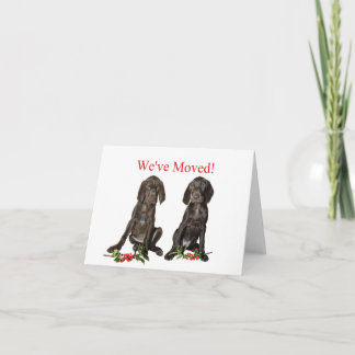German Shorthaired Pointer new address Holiday Card