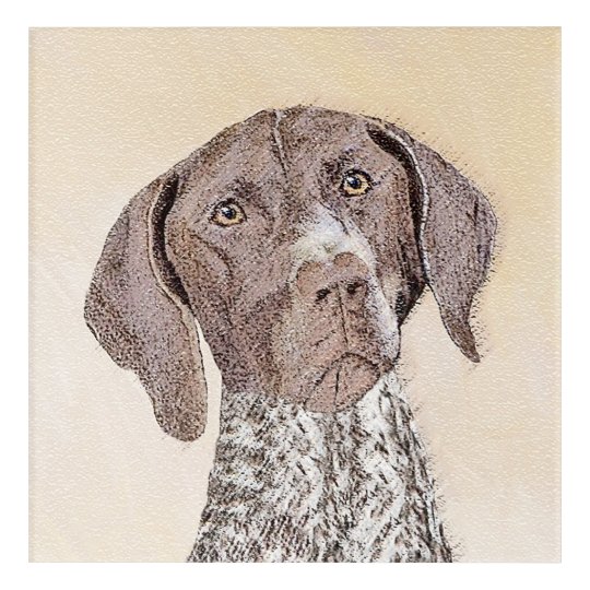 German Shorthaired Pointer Painting - Original Art | Zazzle.co.uk