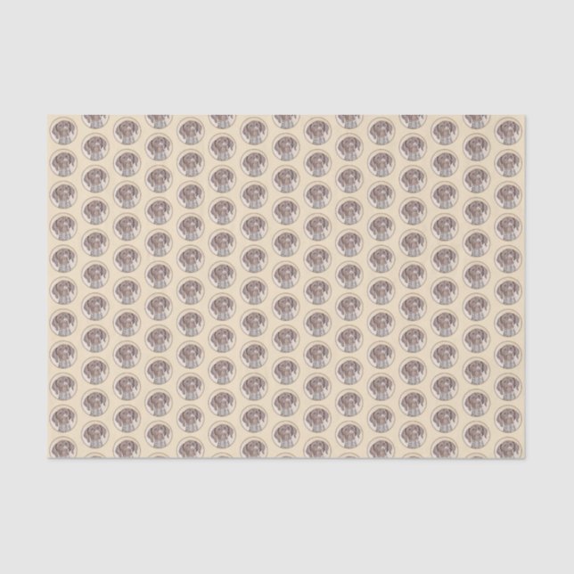 German Shorthaired Pointer Painting - Original Art Tissue Paper (Front)