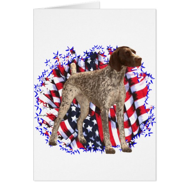 German Shorthaired Pointer Patriot (Front)