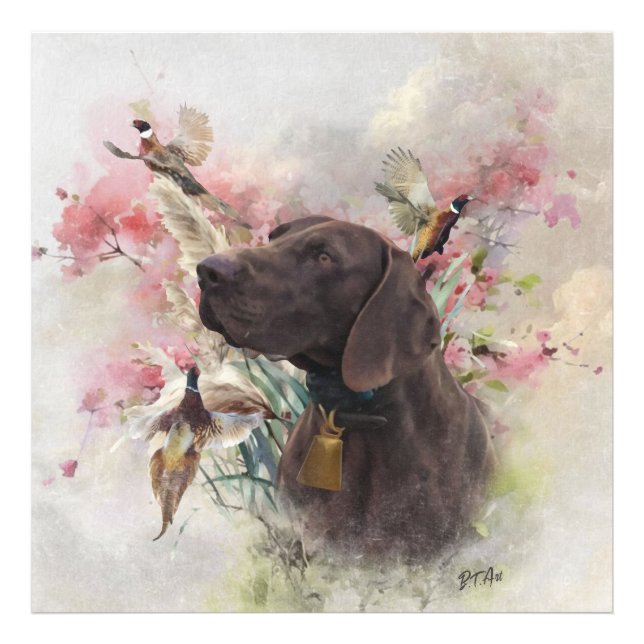 German shorthaired pointer  photo print (Front)