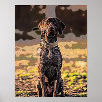 German Shorthaired Pointer, Pointer, GSP