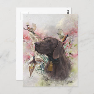 German shorthaired pointer  postcard