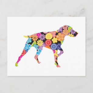 German Shorthaired Pointer Postcard