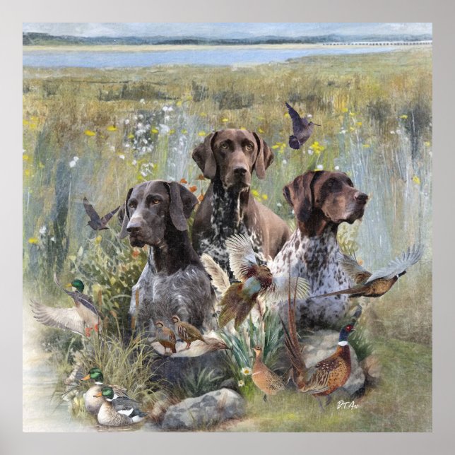 German Shorthaired Pointer  Poster (Front)