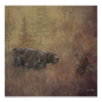 German Shorthaired Pointer