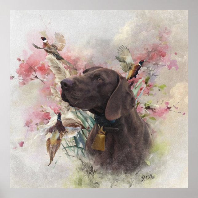 German shorthaired pointer  poster (Front)
