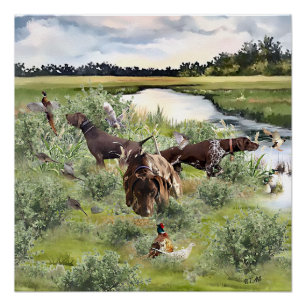 German Shorthaired pointer Poster