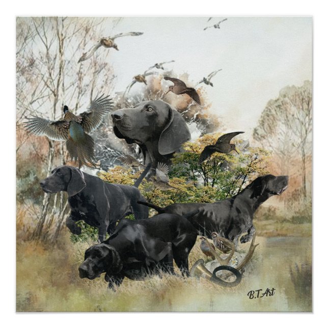 German Shorthaired pointer   Poster (Front)