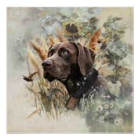 German Shorthaired Pointer