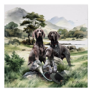 German Shorthaired Pointer  Poster