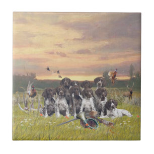 German Shorthaired Pointer Puppies  Tile