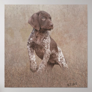 German shorthaired pointer puppy poster