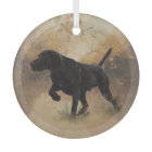 German Shorthaired Pointer ready to hunt Gift Box