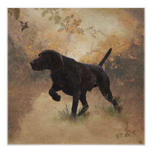 German Shorthaired Pointer ready to hunt Gift Box  Poster