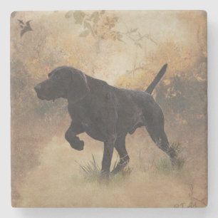 German Shorthaired Pointer ready to hunt Gift Box Stone Coaster