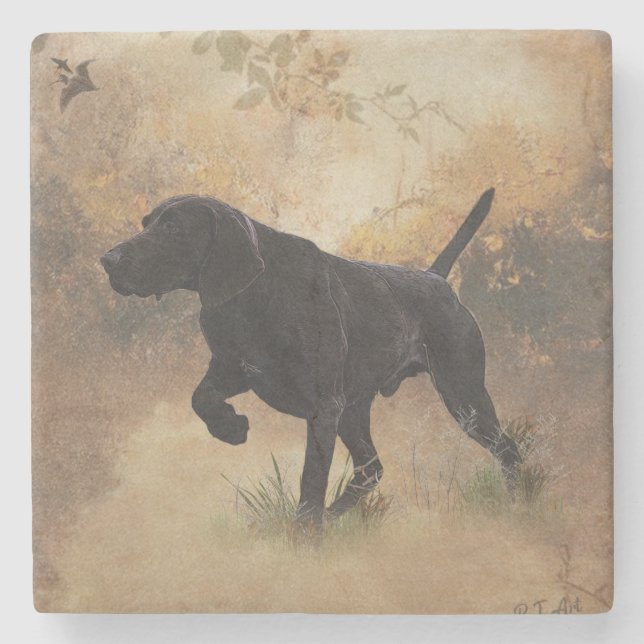 German Shorthaired Pointer ready to hunt Gift Box  Stone Coaster (Front)