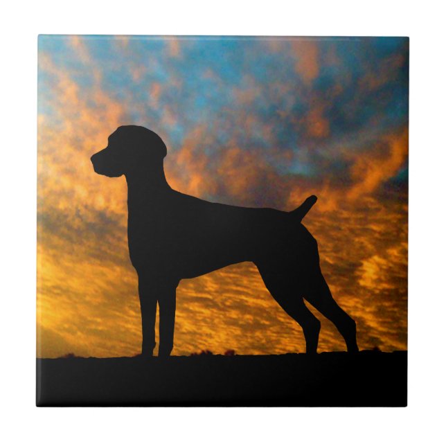 German Shorthaired Pointer Silhouette Sunset Tile (Front)
