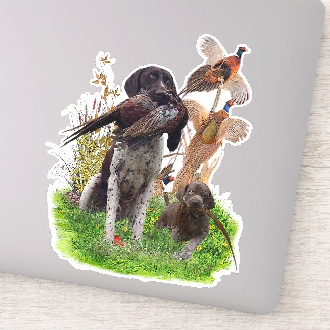 German Shorthaired Pointer    Sticker (Detail)