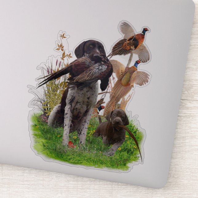 German Shorthaired Pointer    Sticker (Detail)