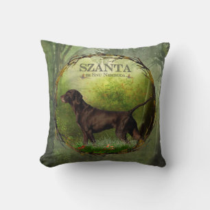 German Shorthaired Pointer ,,SZANTA from Nemrod's Cushion
