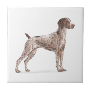 German Shorthaired Pointer Tile