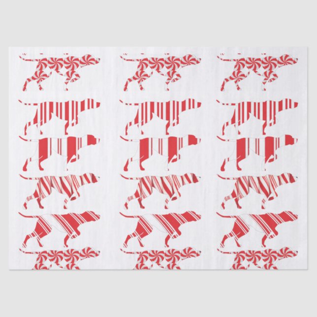 GERMAN SHORTHAIRED POINTER - Tissue Paper - GSP (Front)