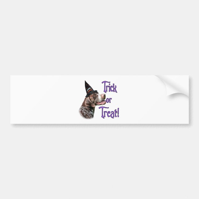 German Shorthaired Pointer Trick Bumper Sticker (Front)