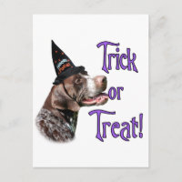 German Shorthaired Pointer Trick
