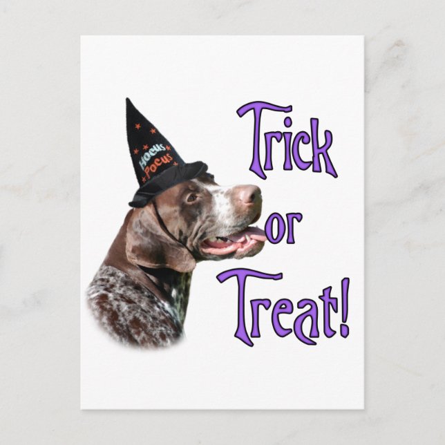 German Shorthaired Pointer Trick Postcard (Front)