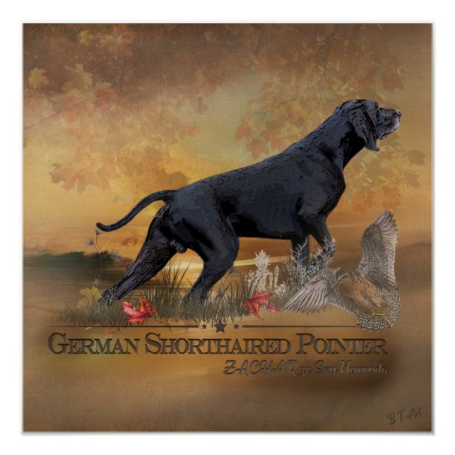 German Shorthaired Pointer, ZACHAR Tapestry Poster (Front)