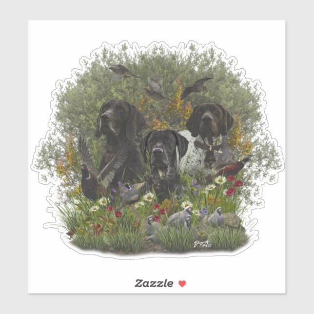 German Shorthaired Pointers   (Sheet)