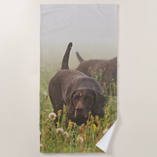 German Shorthaired Pointers  Beach Towel