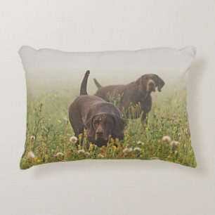 German Shorthaired Pointers  Decorative Cushion