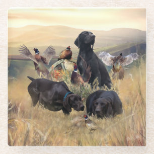 German Shorthaired Pointers Glass Coaster